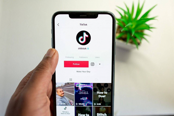 2023年TikTok最简单注册方法！三种方式教你入门TikTok